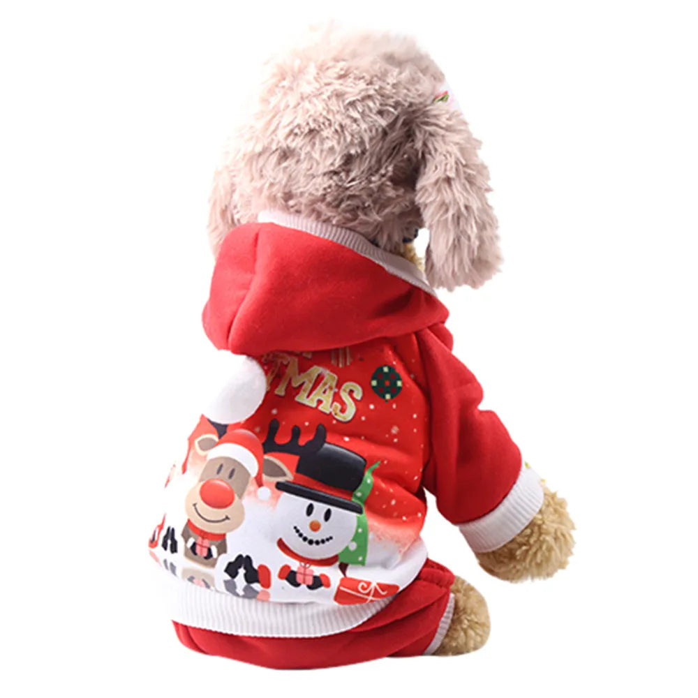 🐶 Pull de Noël pour Chien 🎄 Doux, Chaud & Trop Mignon ❤️