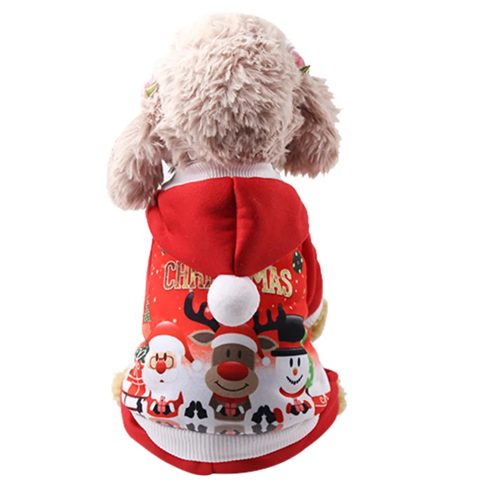 🐶 Pull de Noël pour Chien 🎄 Doux, Chaud & Trop Mignon ❤️